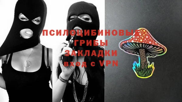 дурь Алексин