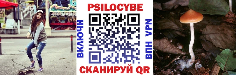 Псилоцибиновые грибы Psilocybine cubensis  Краснозаводск 